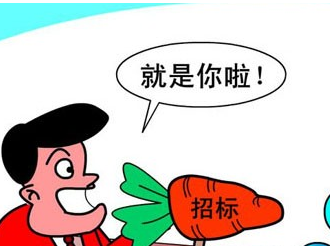 巴楚縣100MW光儲(chǔ)并網(wǎng)發(fā)電項(xiàng)目地災(zāi)及壓覆咨詢服務(wù)招標(biāo)公告