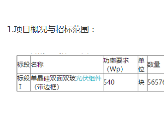上海大屯新能源示范基地項目光伏組件采購招標公告