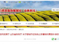 山東省聊城征地補償標準出爐！光伏發電補償3-4元/瓦！