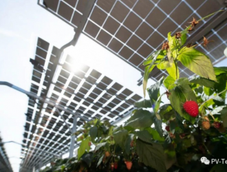 德國：加速“農光互補”建設 潛在裝機量達200GW！