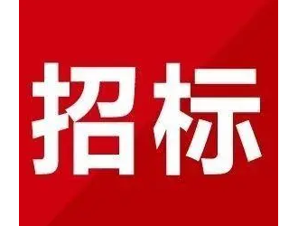 長江電力綠電綠氫示范項目EPC工程總承包項目招標公告