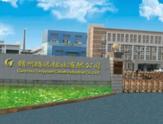 騰遠鈷業：不擔心鈷在新能源汽車領域的發展會受到限制