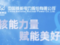 中國核電：國內(nèi)飛輪儲能單機(jī)首次突破 1MW